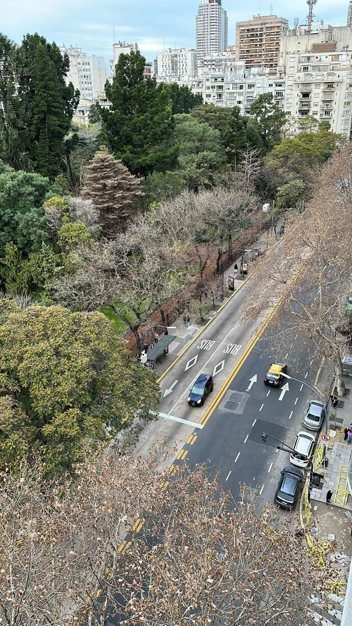 Tree-lined street and city buildings in Buenos Aires